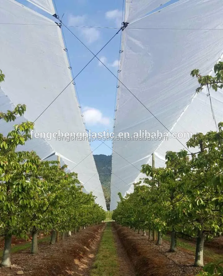 Super Strength Clear Woven Greenhouse Film / Orchard Cherries Rain