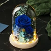 Preserved glass box for Rose Stabilized Rose in Glass as Valentines Gifts Flower,rose gift domed boxes,high quality domed gift