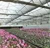 High-tech Greenhouses and Hydroponic Systems for Professional Growers