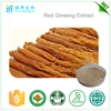 Korean Fermented Red Ginseng Extract Powder Capsule/panax ginseng/Korea Insam/6 year old ginseng