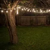 High quality holiday decoration festoon cable 220V outdoor LED festoon string