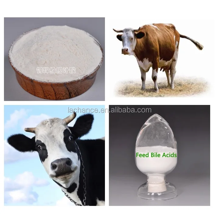 High quality choline chloride for cow--Bile Acids