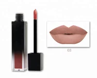 

Wholesale Long Lasting Waterproof Custom Low MOQ No Logo Lip Tint Private Label Natural Matte Lip Gloss for Vendor
