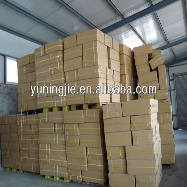 biodegradable bag  (5)