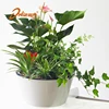 2019 Europe style planters plastic flower pots for Home and Garden