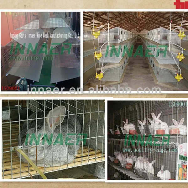 Rabbit Farming Cage With High Quality Buy Rabbit Farming Cage,Rabbit
