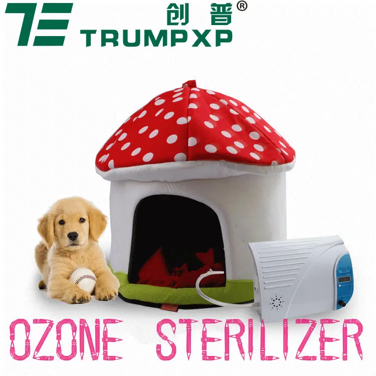 ozone sterilization
