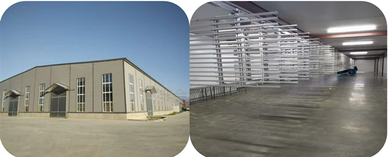 Halves Walnut Kernel/ walnut without shell/butterfly walnut kernel China Xinjiang dry nuts