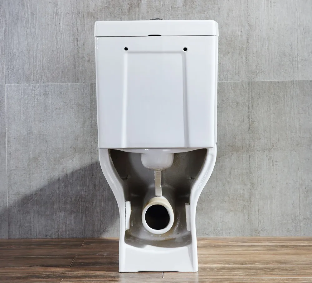 Bio Modern Ceramic Guangzhou Siphonic bath 2 piece toilet