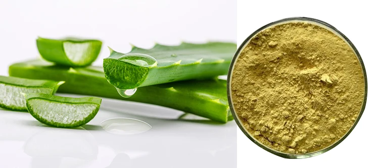 pure natural aloe vera leaf extract/aloin/barbaloin/ maintenance