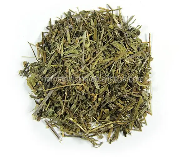 
organic herb Natural wild Scutellaria barbata 