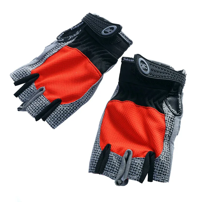 

Widely Used Superior Quality Gloves Bike, Black