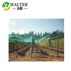 hdpe anti hail net olive net protect apple tree against bird hail