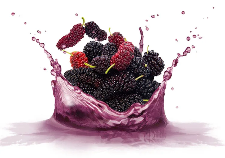 Nice Fruit Drink Fresh Natural Mulberry Juice Cheap And High Quality
