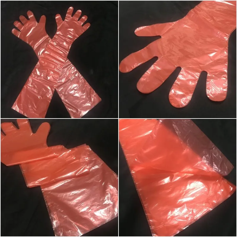 veterinary gloves  (2).jpg