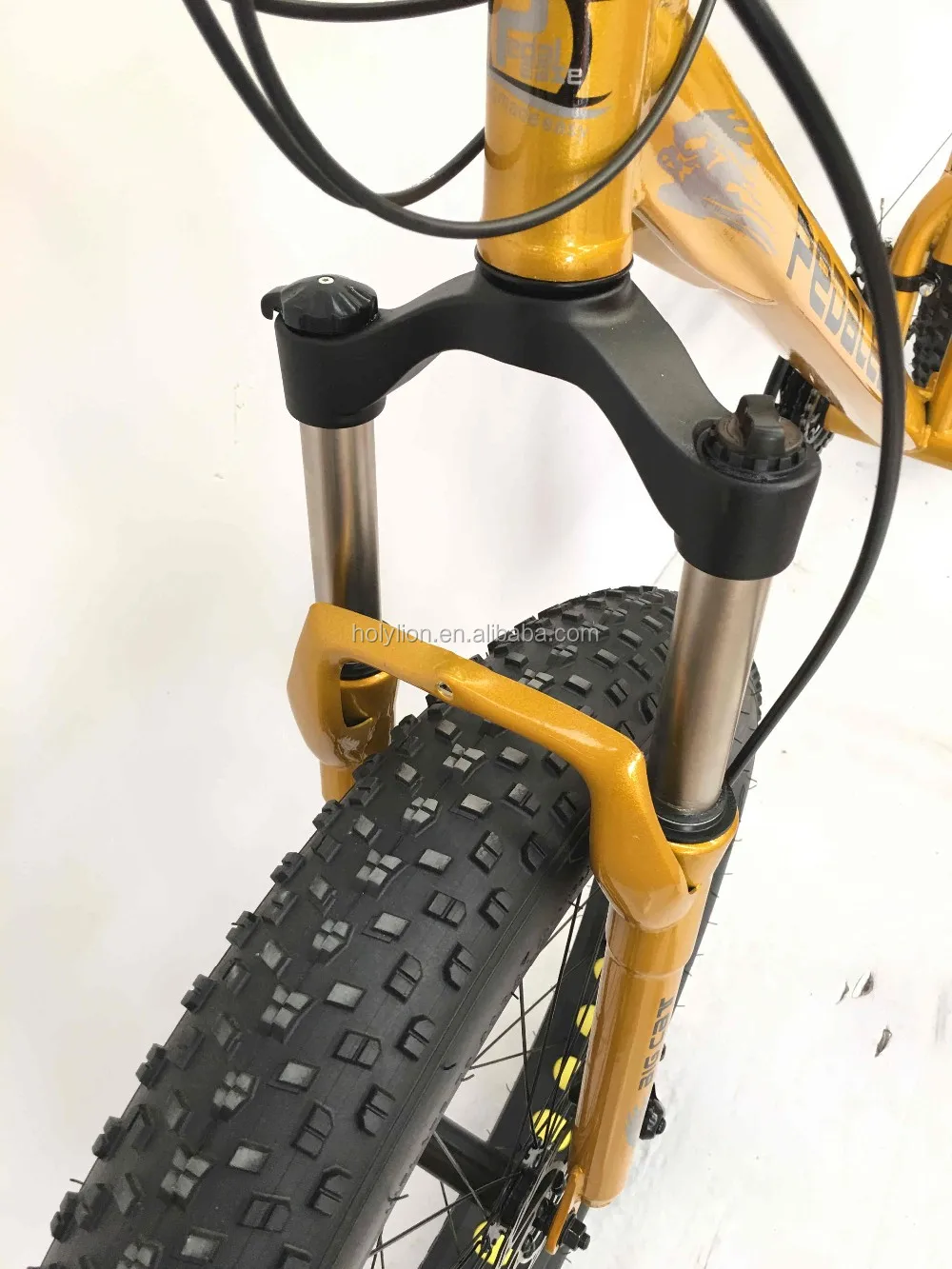 fat tire full suspension