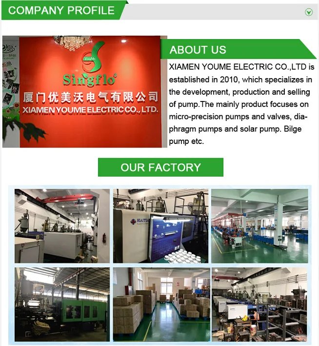Company Profile.png