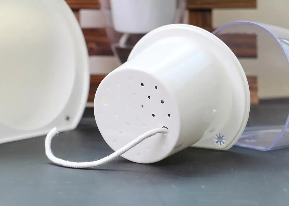 wall hanging flower pot