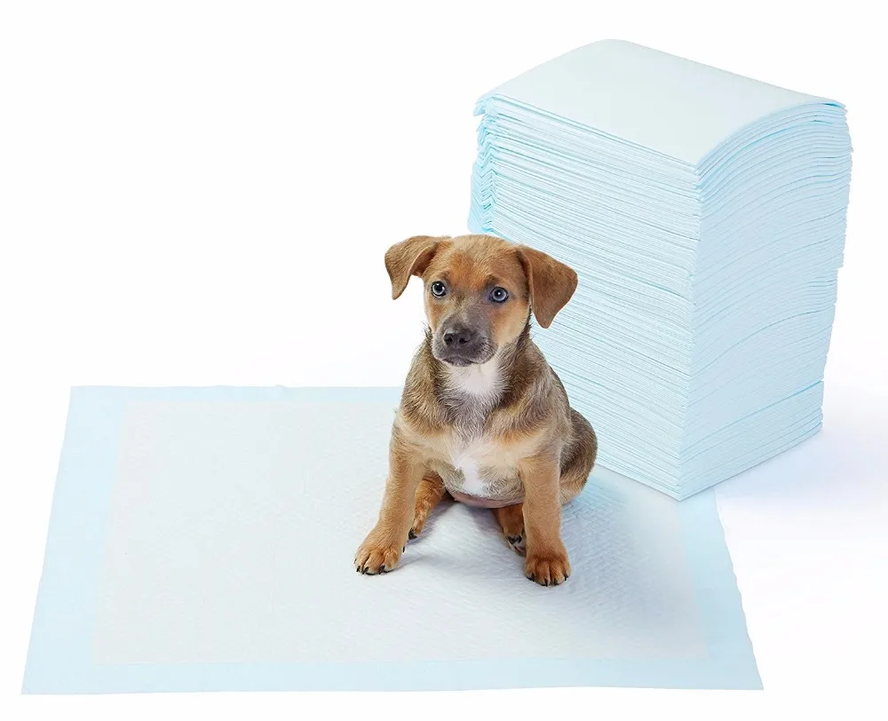How to train dog to pee on wee wee pad Say No No To Wee Wee Pads How To Potty Train Your Puppy The Right Way Pethelpful