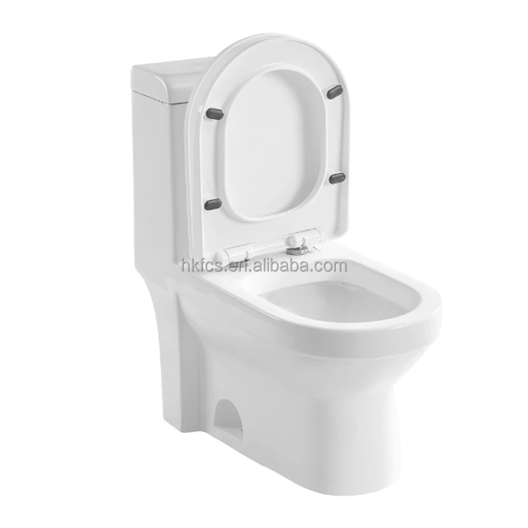 
CSA Certificated Elongated Dual Flush One-piece Toilet 3097N 
