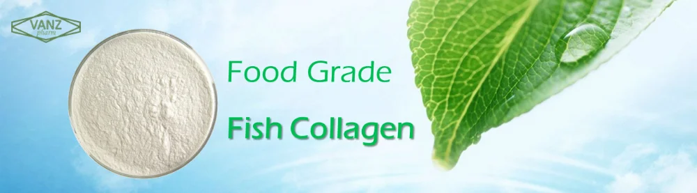 fish collagen type i