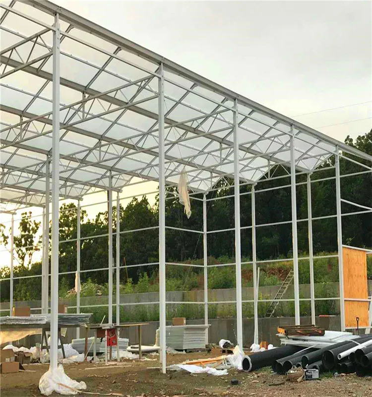 medical hemp commercial Singlespan Greenhouse