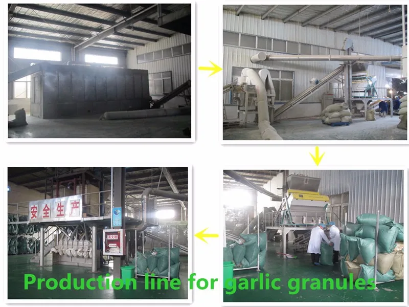 production line for garlic granules_