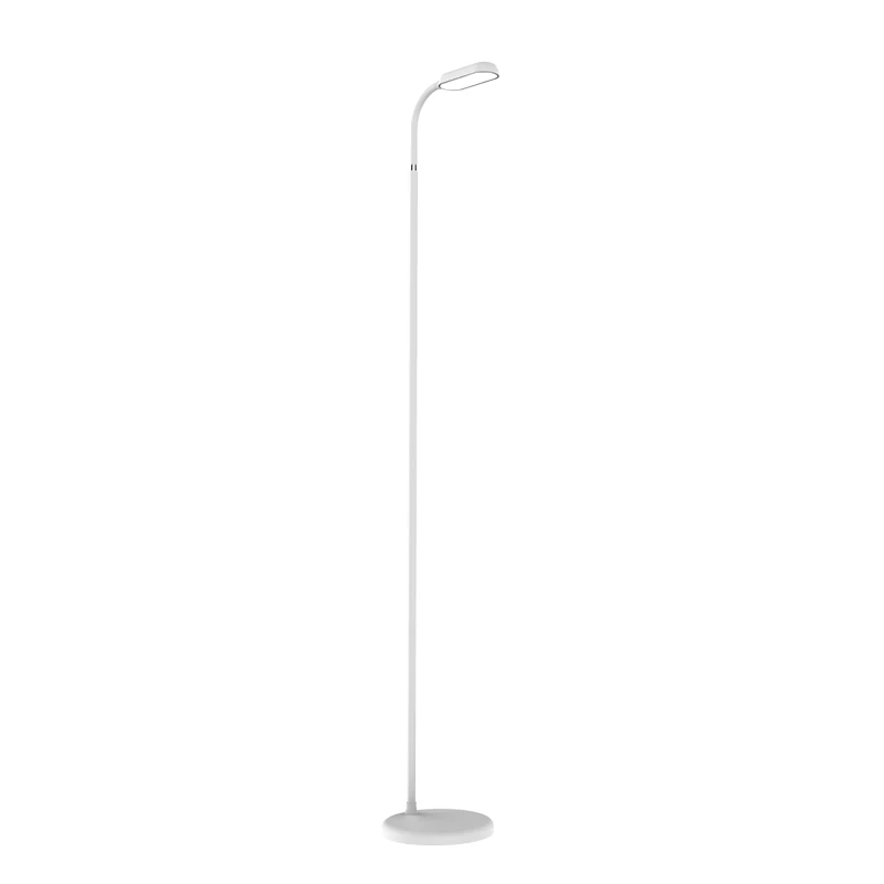 
Modern Brightness Color Dimmable Cordless 3600mAh Gooseneck Rechargeable Floor Lamp LED 