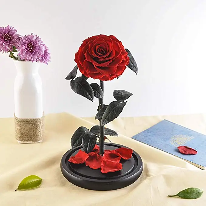 Wholesale Eternal Luxury Roses Real Preserved Flower Roses In Glass