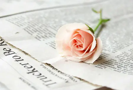 China provides the high quality low price 100% wood pulp newsprint