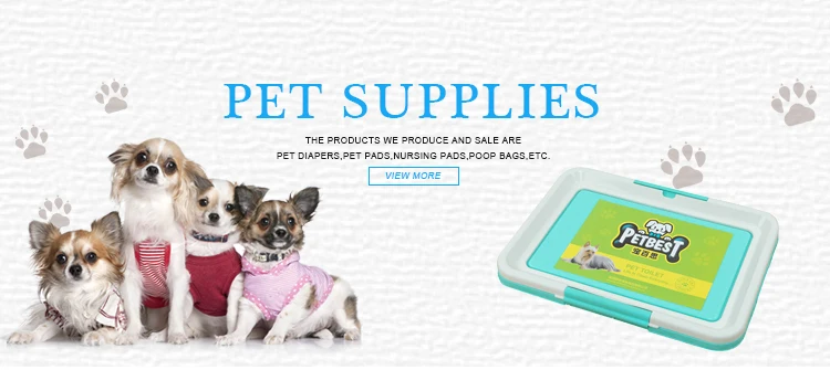 dog nappies petstock