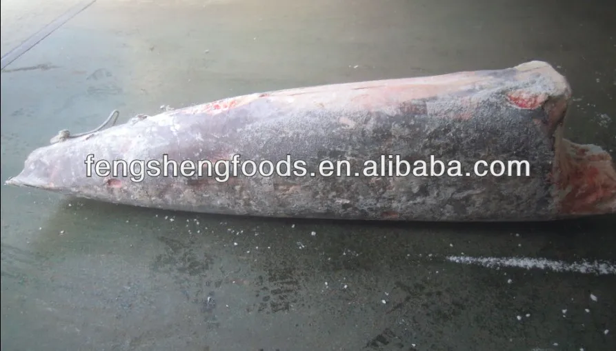 
Sashimi Grade Superfrozen Raw Swordfish Tuna Longline 