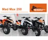 Atv Quad 250cc with CE , Off Road quad bike