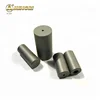 tungsten carbide die insert/carbide tooling cold heading die