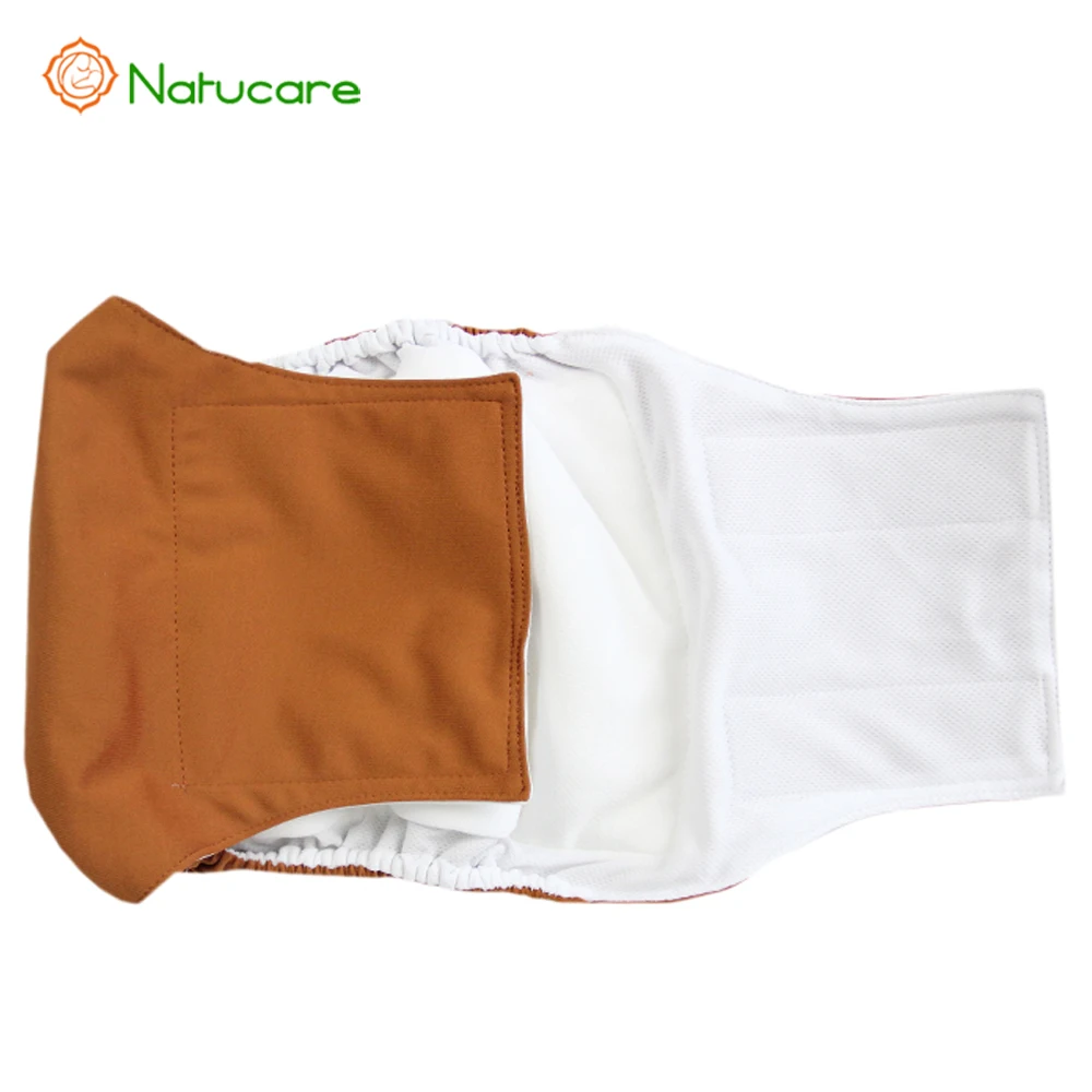 dog incontinence pads