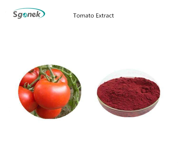 High Quality Tomato Extract Powder Raw Materials Tomato Extract