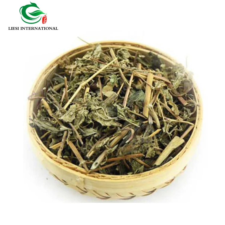 Xi Xian Cao Tea Siegesbeckiae Buy Xi Xian Cao Tea,Xi Xian Cao