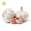 wholesale chinese organic pure white garlic and normal white garlic price per ton