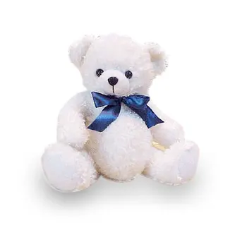 recordable plush toys