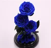 Newly flower decoration preserved eternal blue rose fresh preserved roses in glass dome