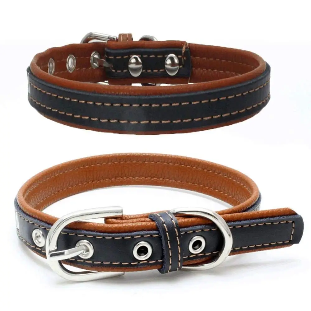 sturdy dog collars