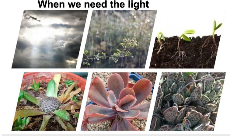 Hydroponics indoor planting UFO LED Grow lights