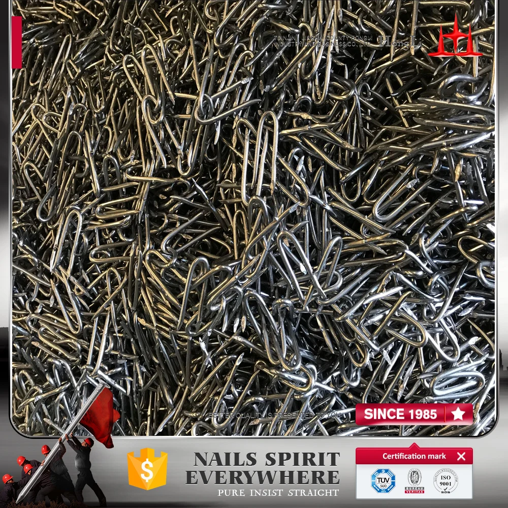 Galvanized U Nail Buy High Quality Stainless Steel U Nails,U Shape