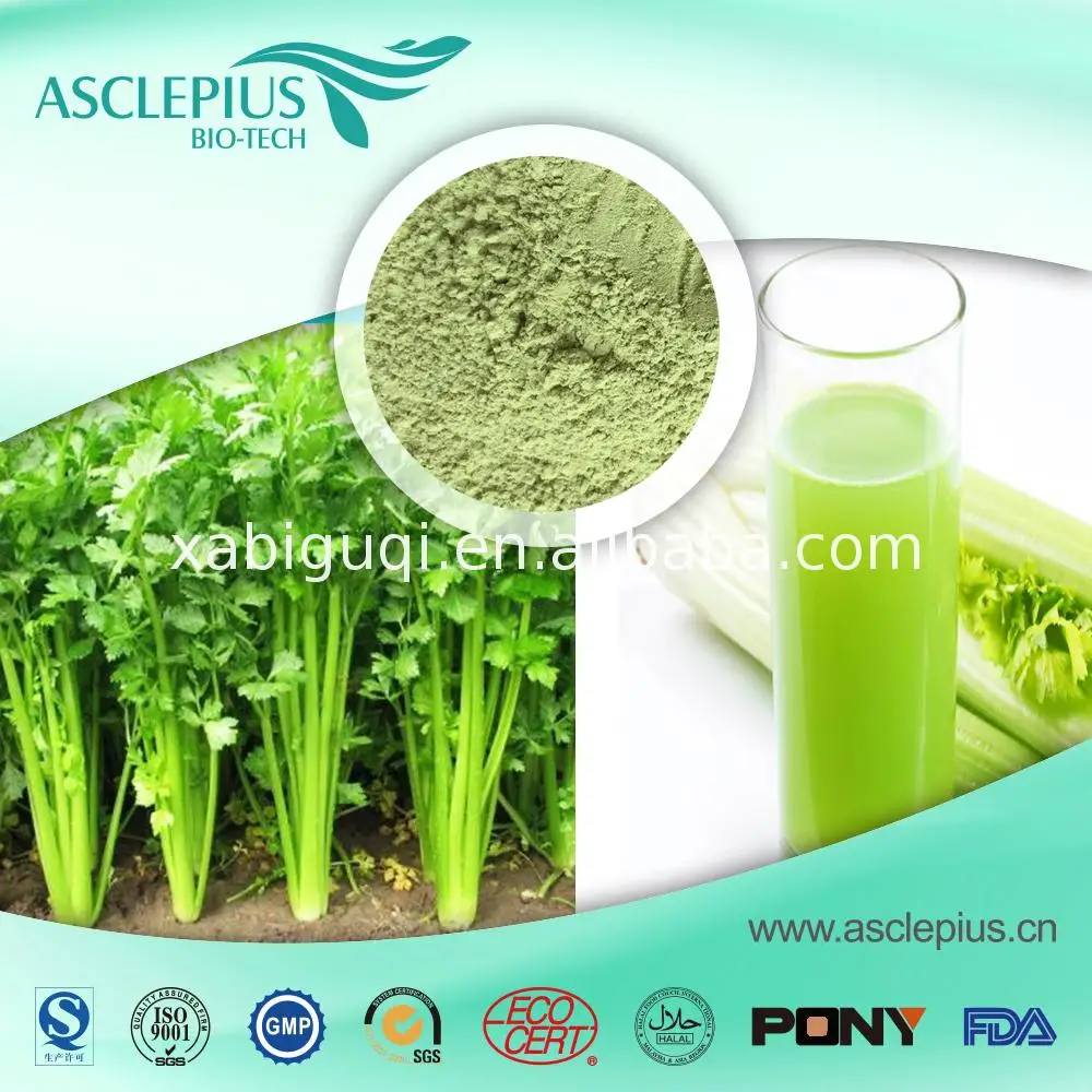 The Best Freeze Dried Instant Celery Juice Powder From Suppliers Of Iso9001 Standard Buy