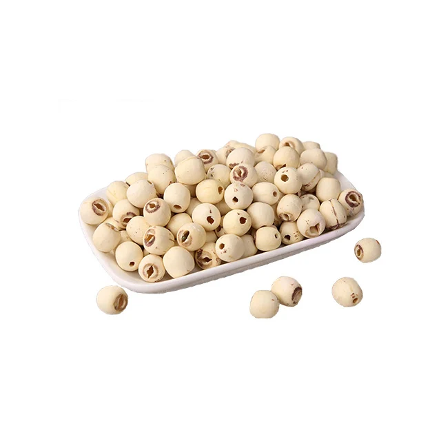 
Factory direct price lotus root seeds 