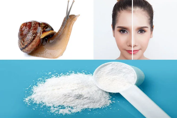 Pure Snail Slime Extractor Pure Natural Skin Care Powder Snail Slime