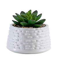 

Mini Artificial Potted Plastic Handicraft Succulent Bonsai Plants in Ceramic Pot for Indoor Home Decor