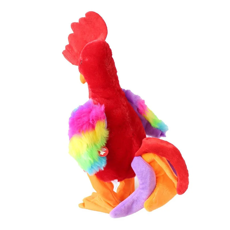 Colorful Singing Roosters Desperate Fighting Screaming Chickens Can