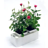 

Creative mini smart garden for plants indoor Smart garden hydroponic flower planter