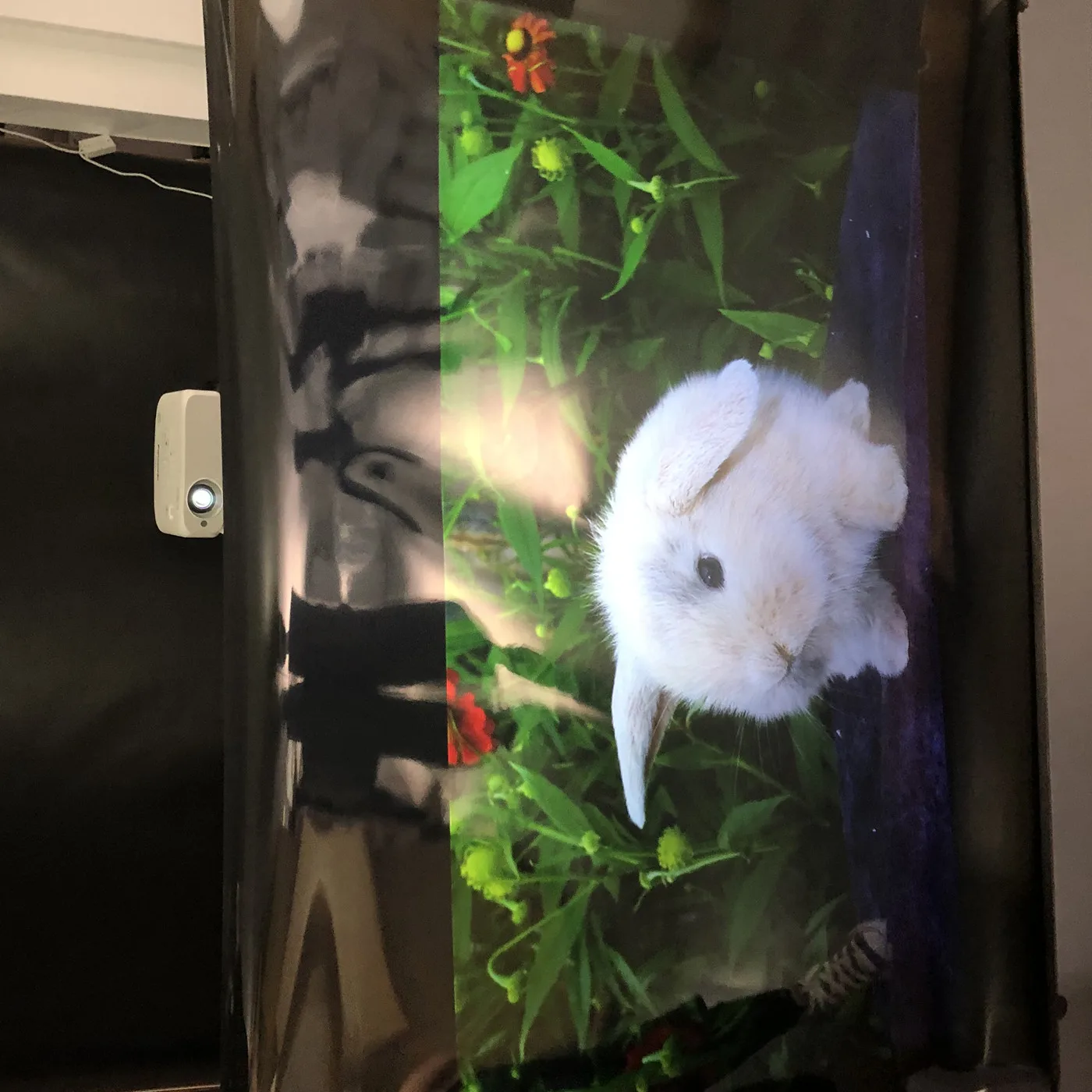 

2019 new rear projection screen film magic image, Transparent or dark grey color